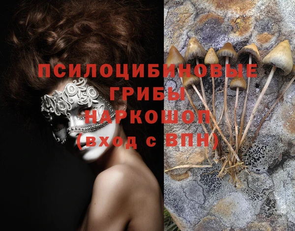индика Баксан