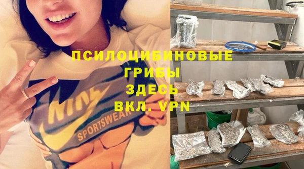 винт Арсеньев