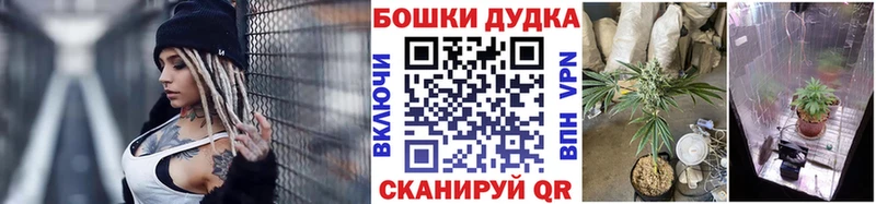 закладка Безенчук Каннабис семена